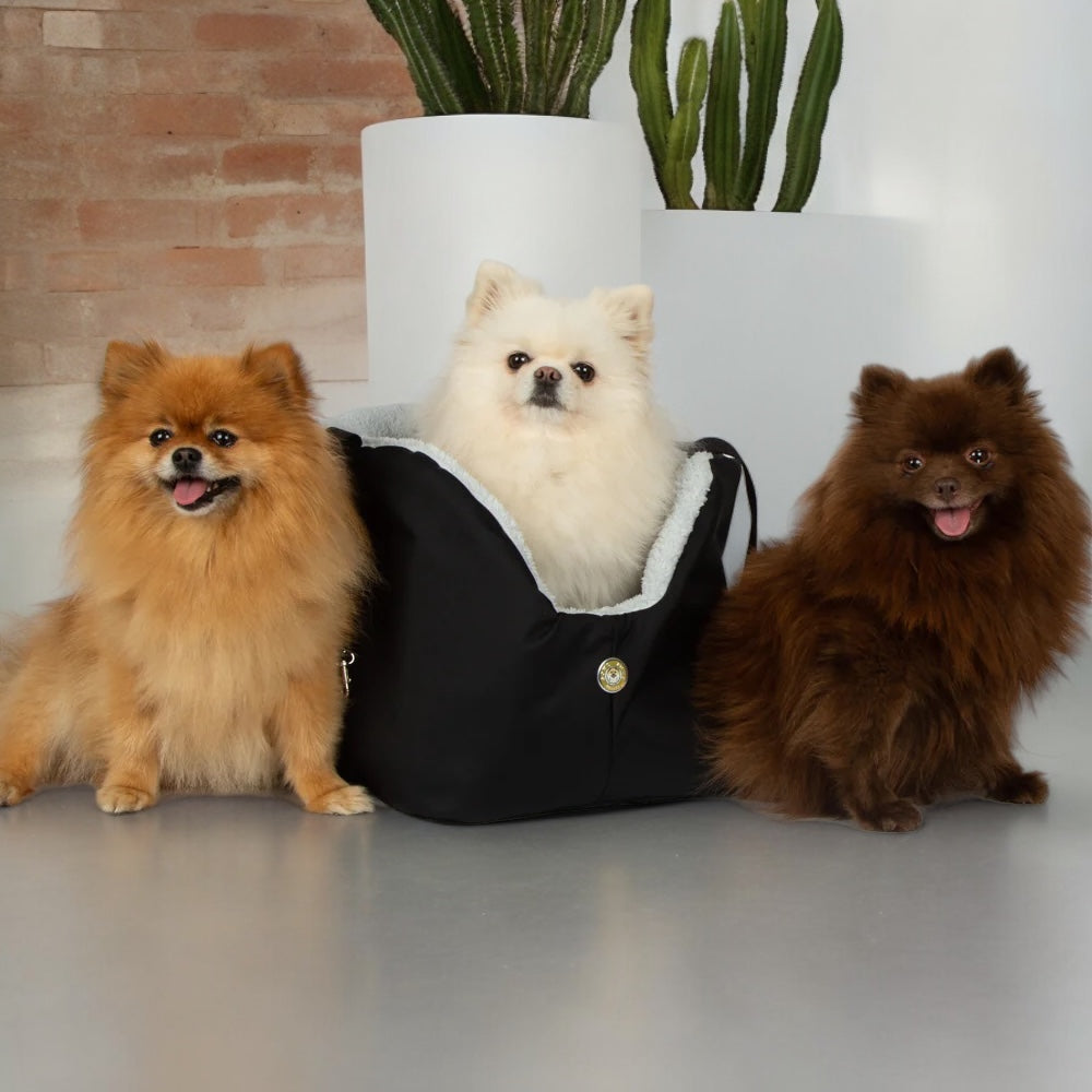 Sac de transport pour chien Suzy's Fashion Rainy Bear noir et gris