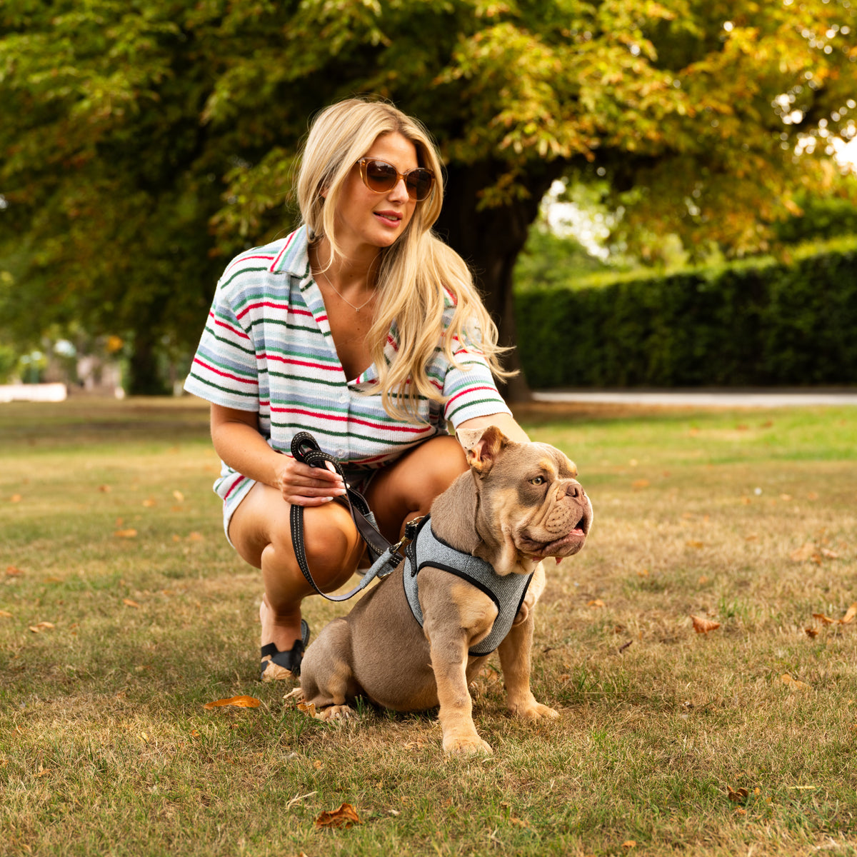 Harnais pour chien SOHO gris de Bowl &amp; Bone
