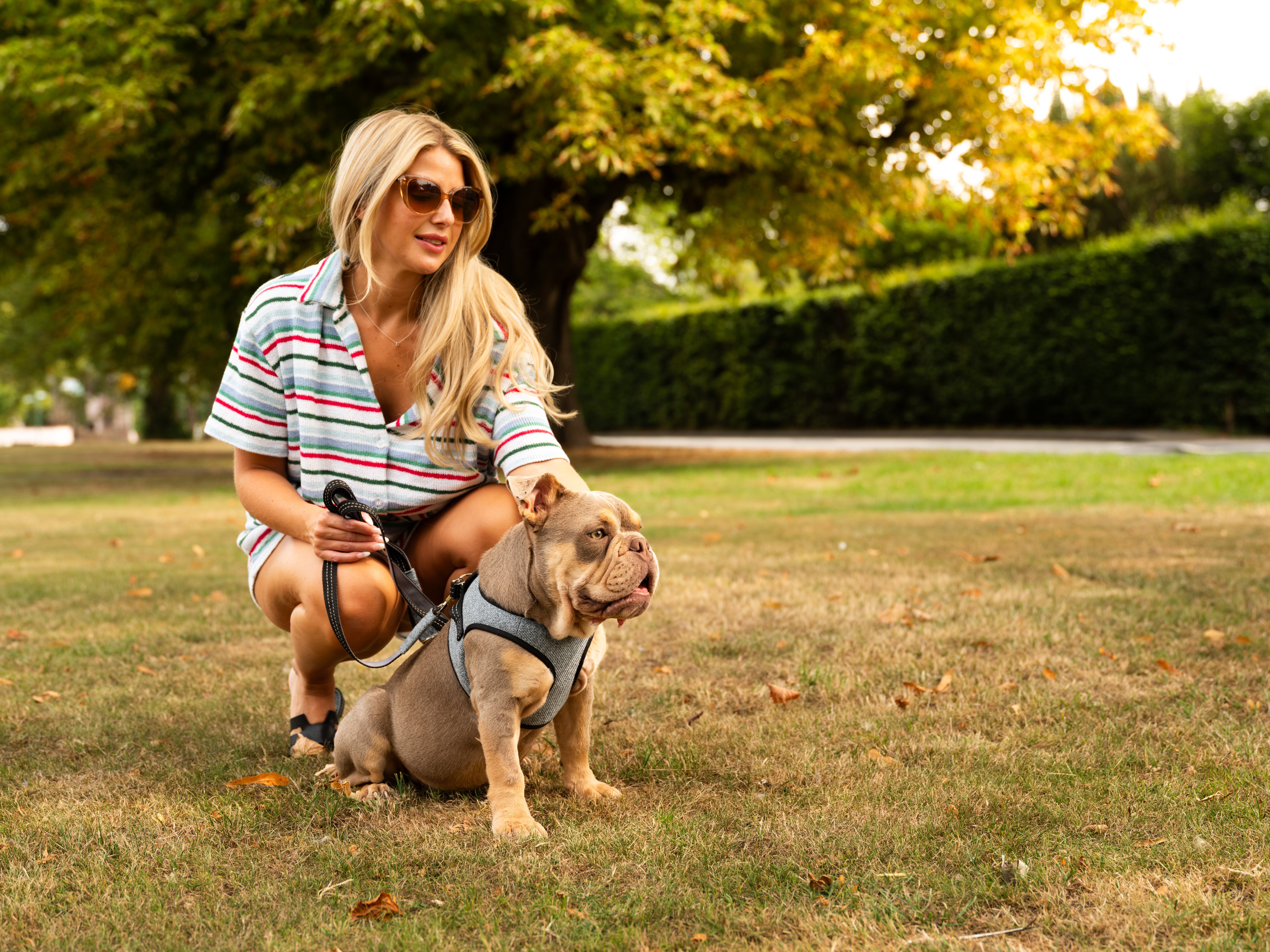 Soho Poms x Bowl & Bone  Mayfair Hundegeschirr in Schieferblau