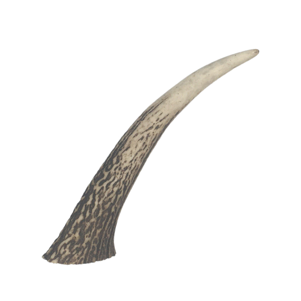 Whole Antlers for Dogs
