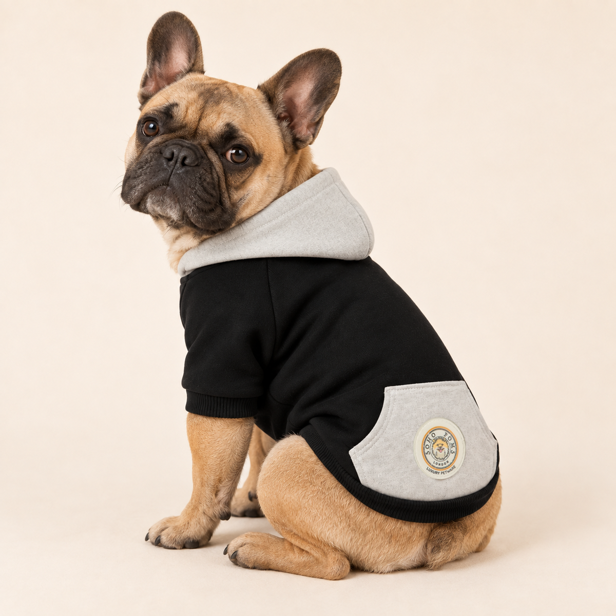 Midnight Black | Dog Hoodie