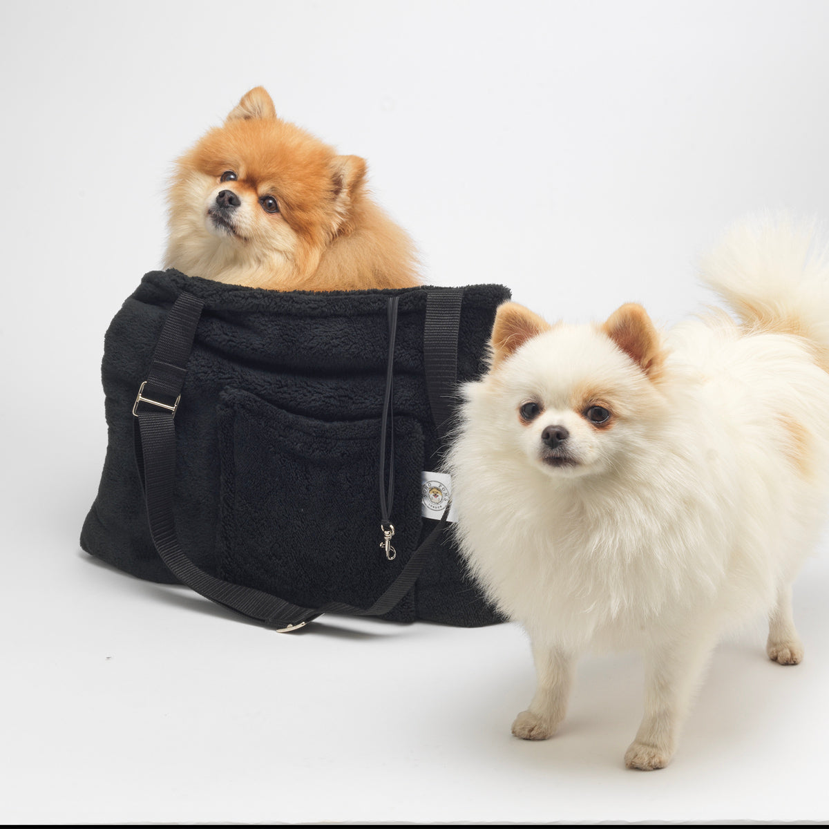 Teddy Bear Dog Carrier Bag in Black by Soho Poms