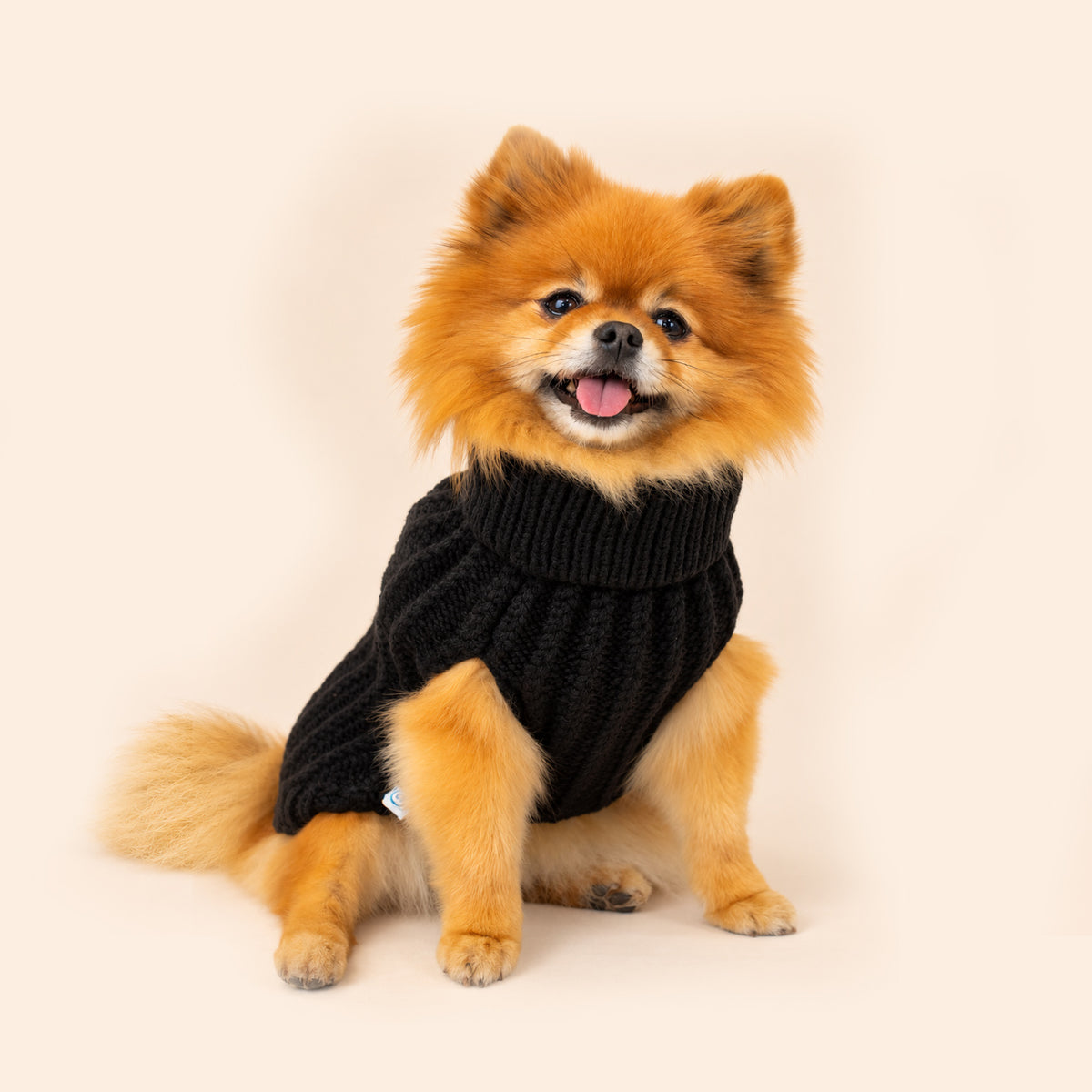 Pull pour chien ASPEN bleu de Bowl &amp; Bone