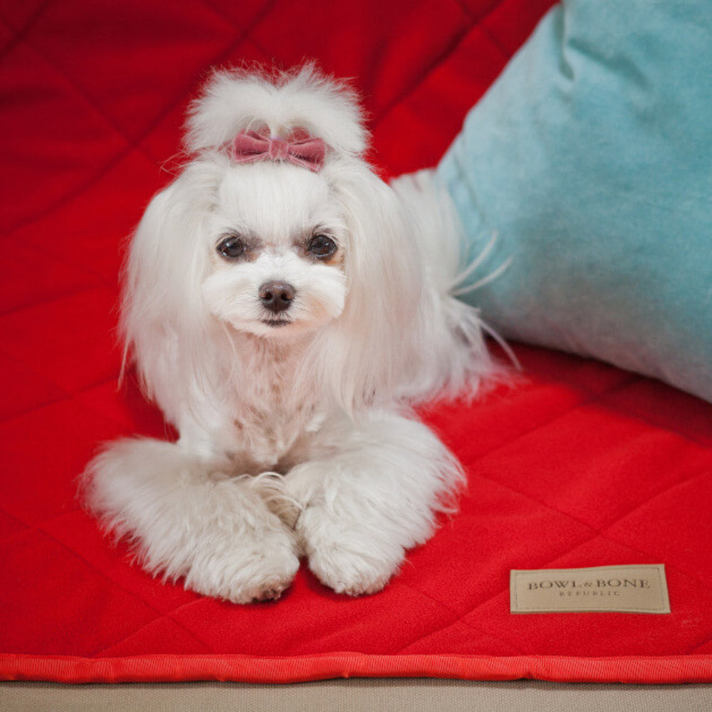 Red ROYAL Dog Blanket from Bowl & Bone