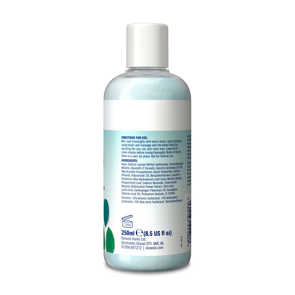 Clean and Fresh Dorwest Shampoo 250ml