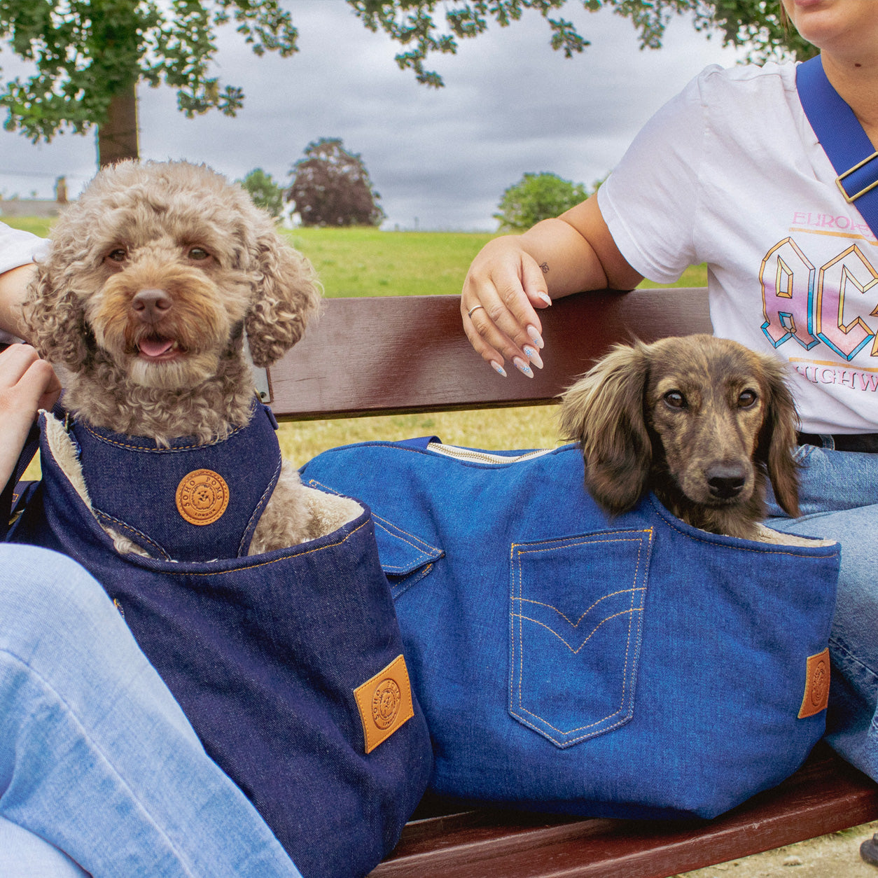 Classic Rinse | Frith Dog Carrier
