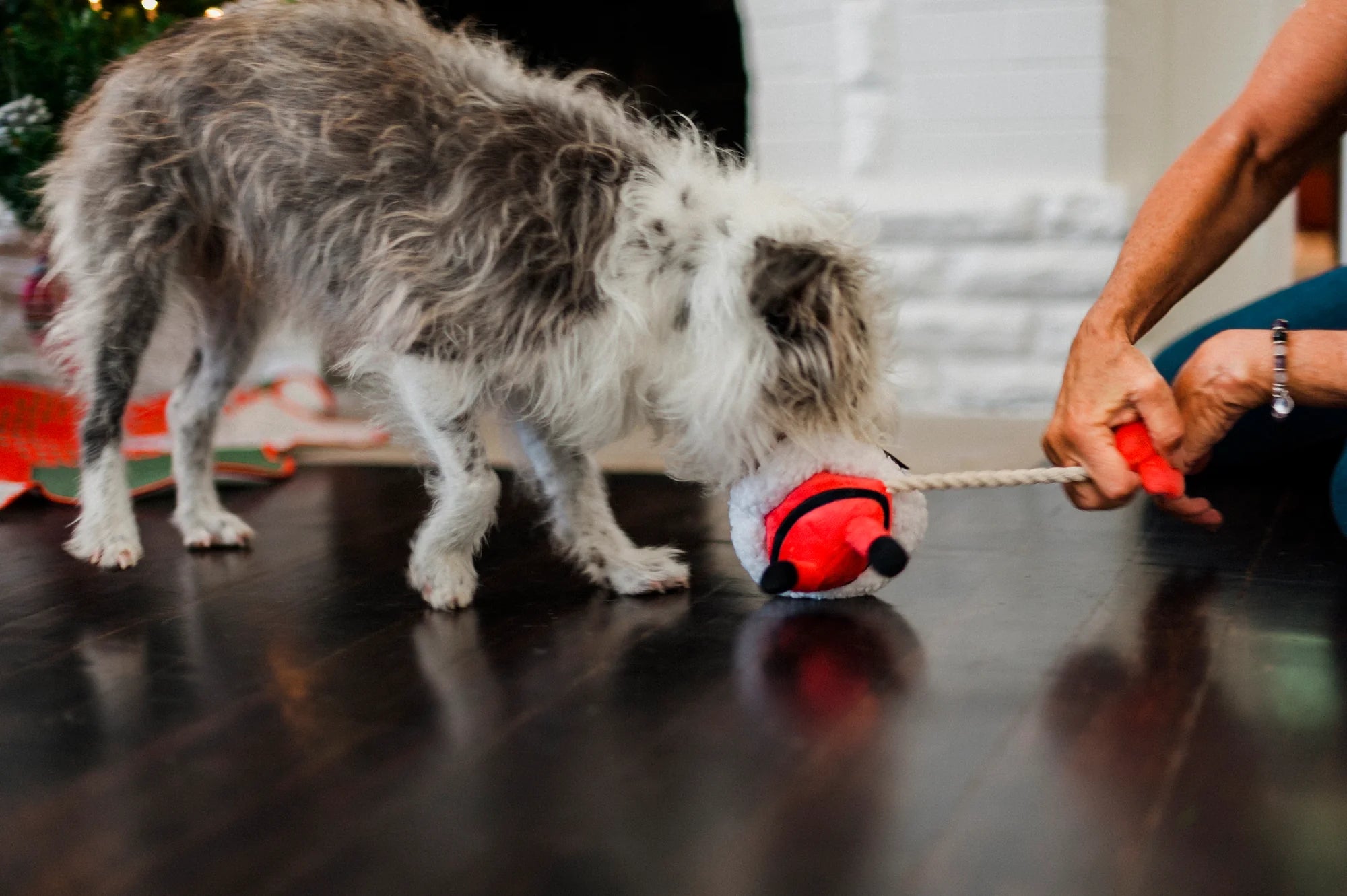 Christmas Dog Toy Merry Woofmas Clumsy Santa