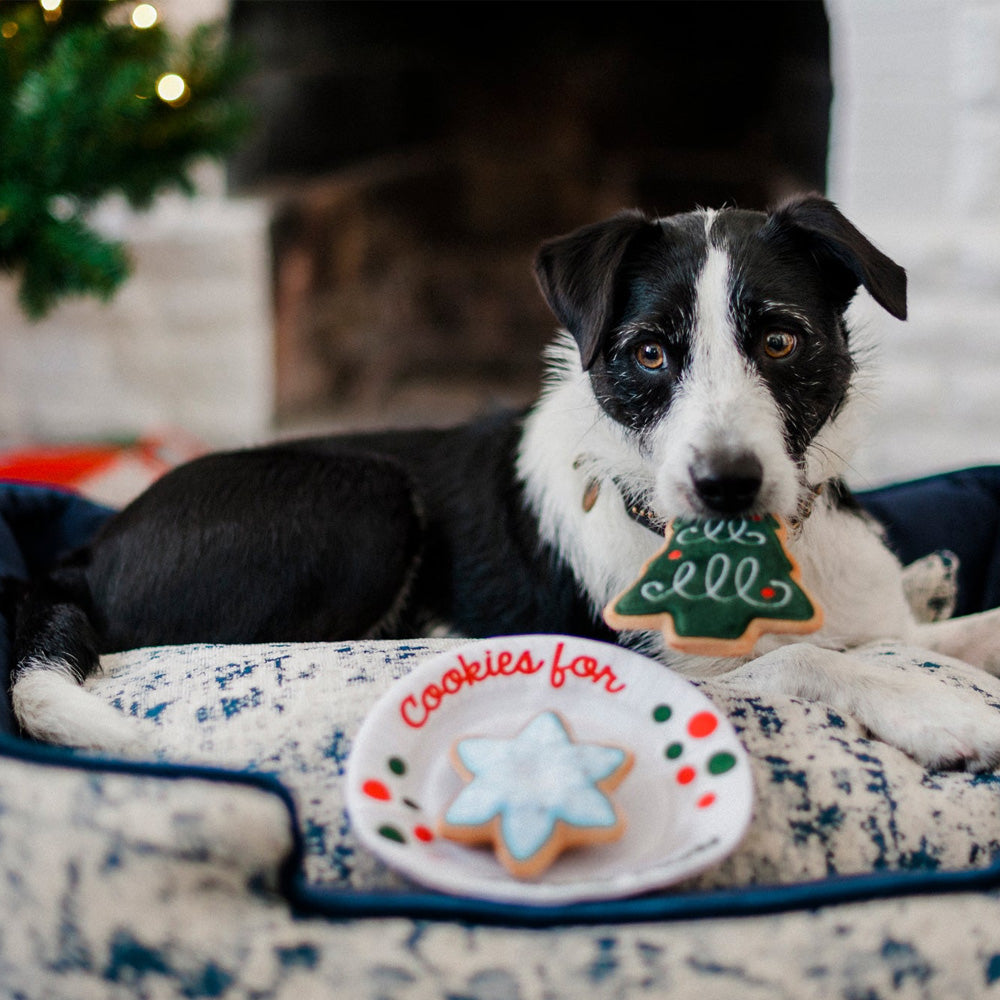 P.L.A.Y. Merry Woofmas Christmas Eve Cookies Dog Toy