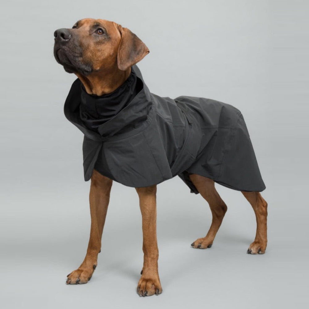 PAIKKA Manteau imperméable haute visibilité pour chien - Foncé