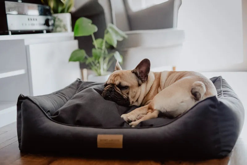 PINK CLASSIC Dog Bed from Bowl and Bone