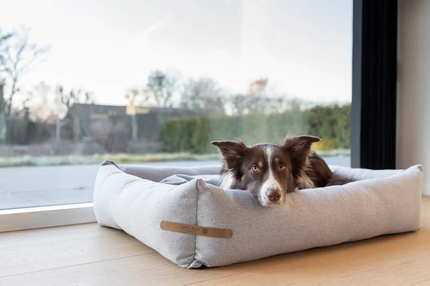 Luxury Dog Products & Accessories by Soho Poms