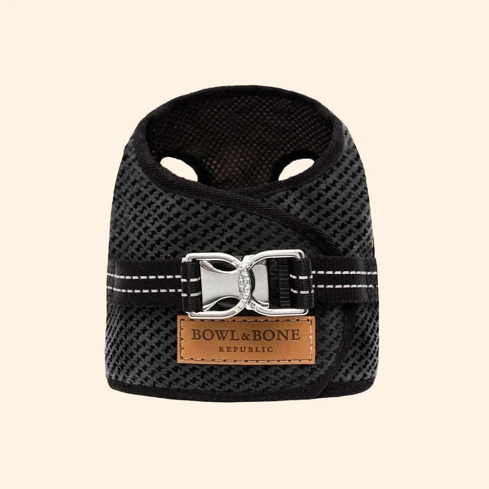 SOHO Hundegeschirr in Graphit von Bowl & Bone