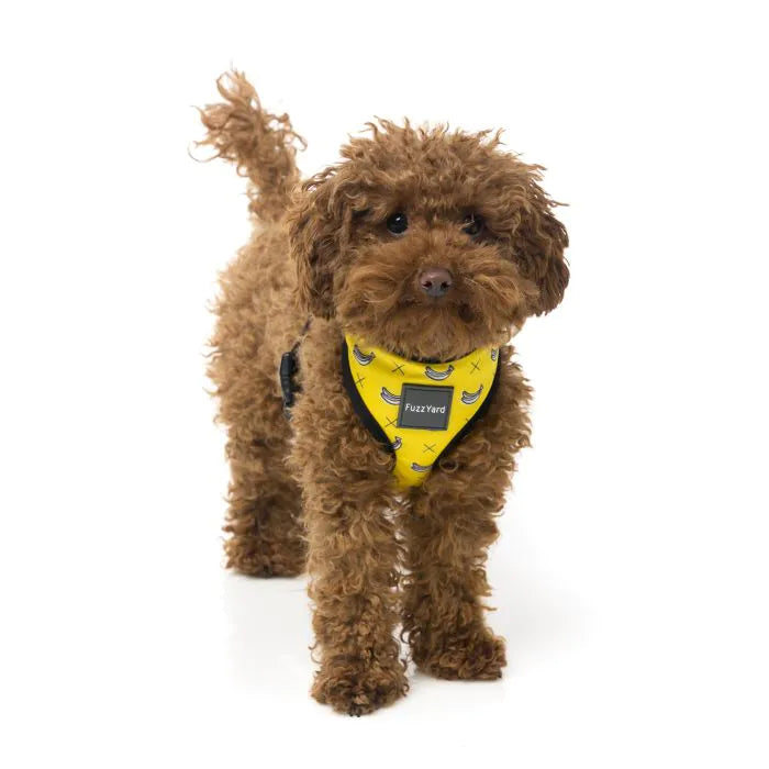FuzzYard Monkey Mania Dog Harness
