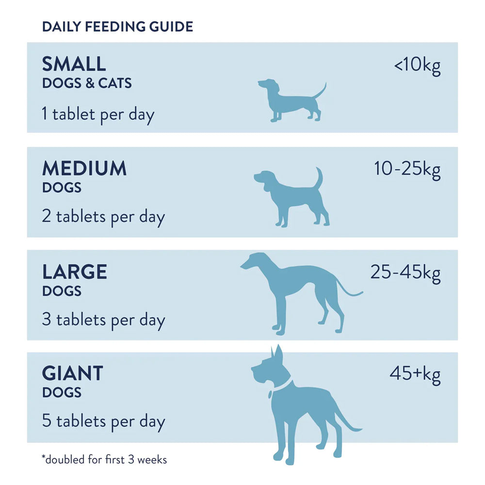 Dorwest Garlic & Fenugreek Tablets For Dogs