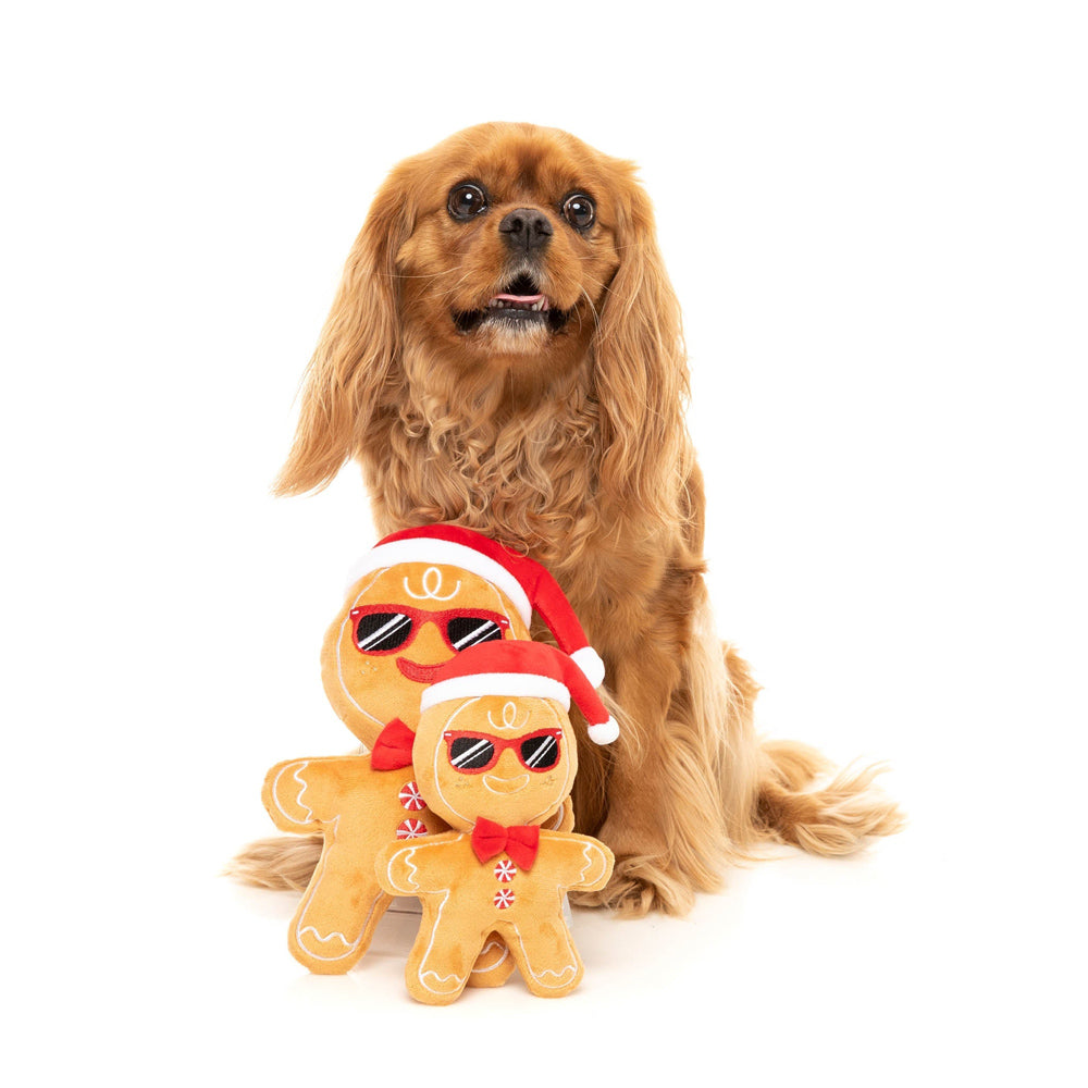 FuzzYard Mr Gingerbread Dog Toy