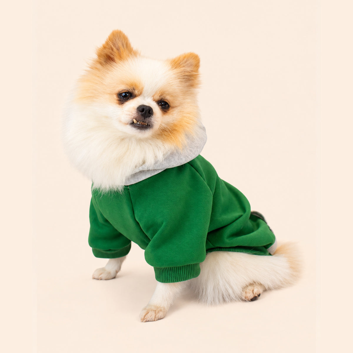 Bright Green | Dog Hoodie
