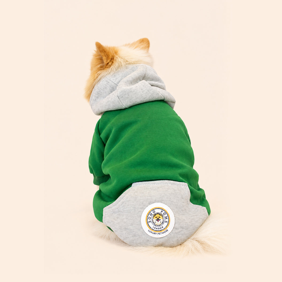 Bright Green | Dog Hoodie
