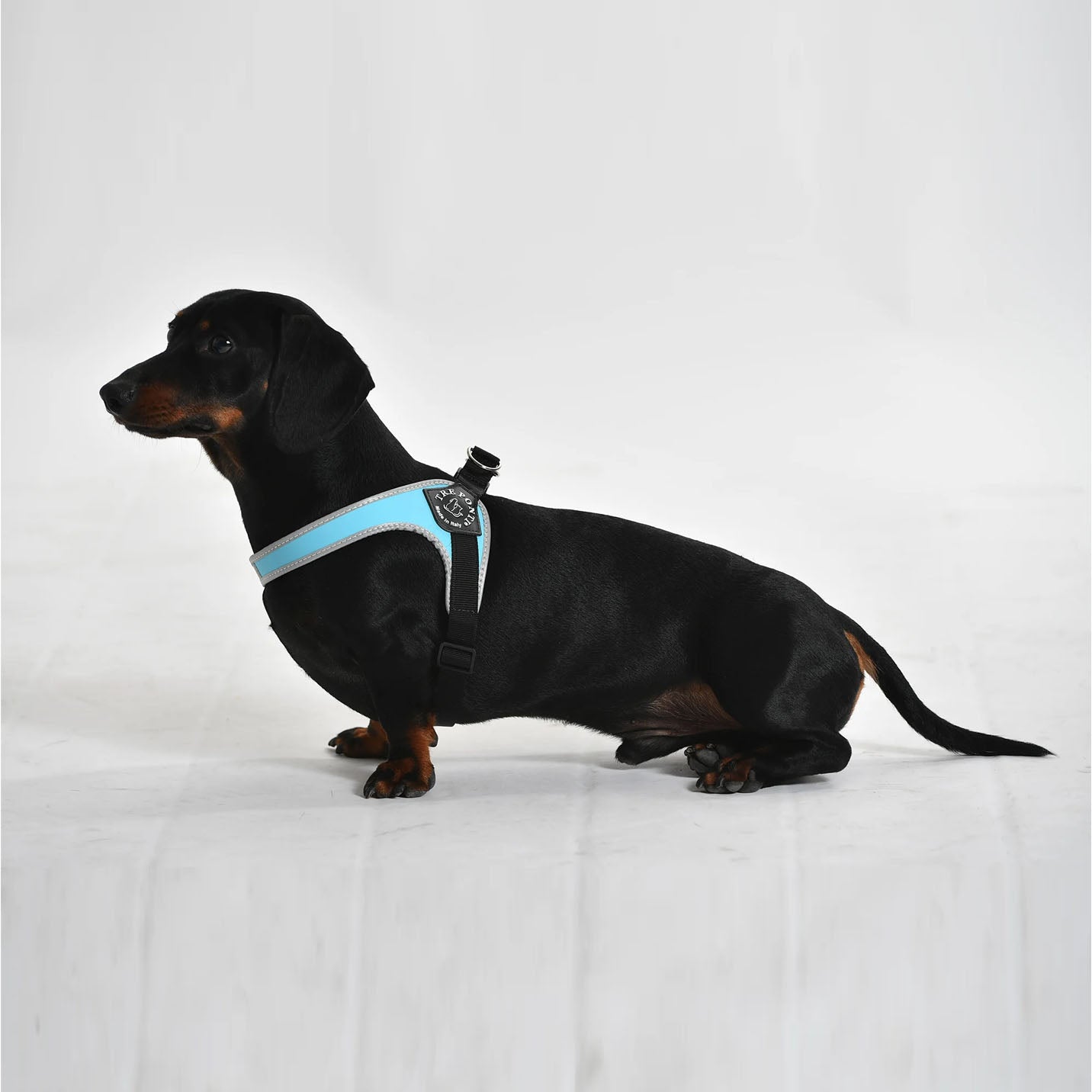 Tre Ponti Easy Fit Light Blue Harness with Adjustable Girth