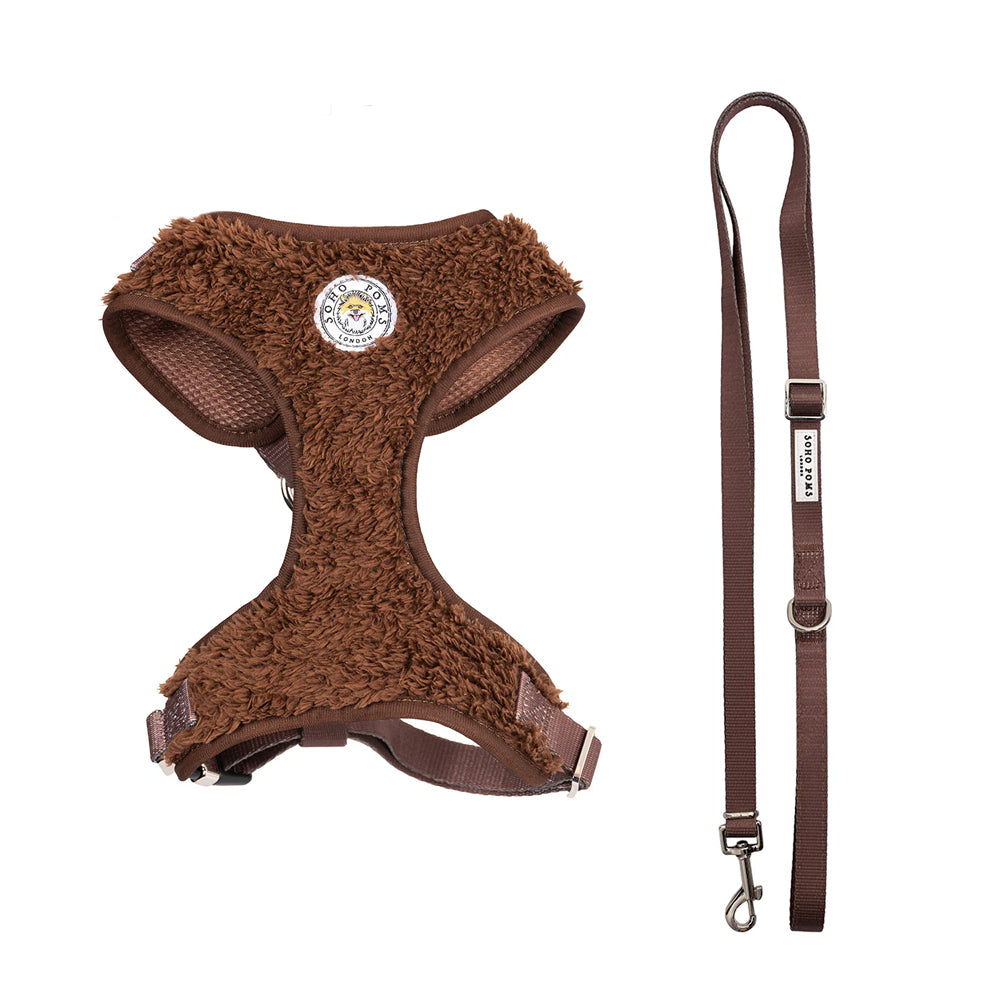 Carnaby Cocoa Bean Harness and Lead Set