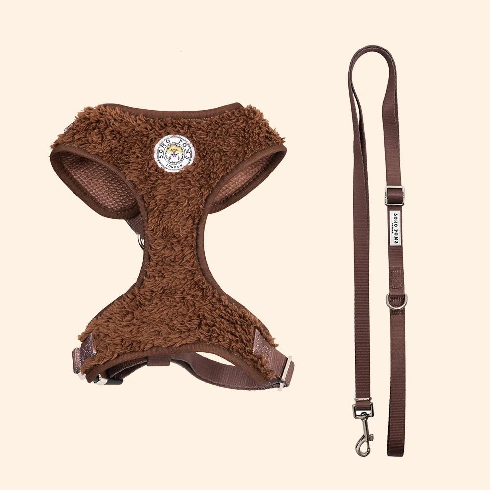 Carnaby Cocoa Bean Harness and Lead Set