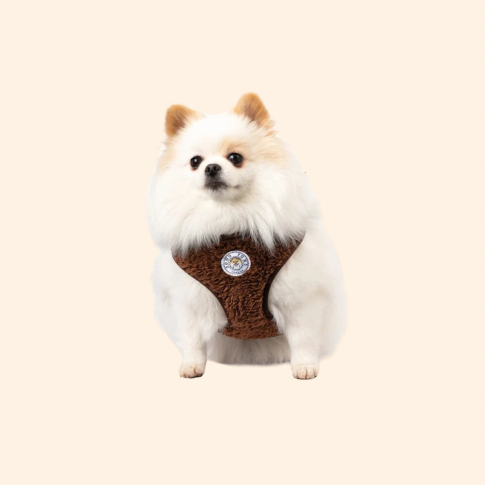 Cocoa Bean | Carnaby Harness