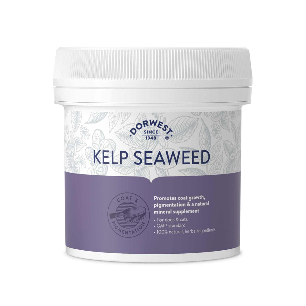 Dorwest Kelp Seaweed Powder Dogs & Cats 'Thicker Coat'