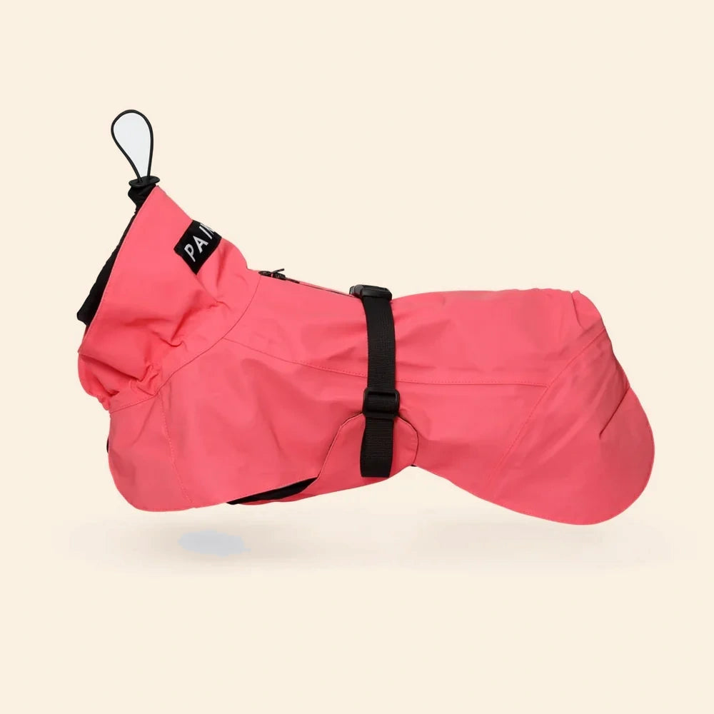 PAIKKA Manteau imperméable haute visibilité pour chien Lite - Jaune