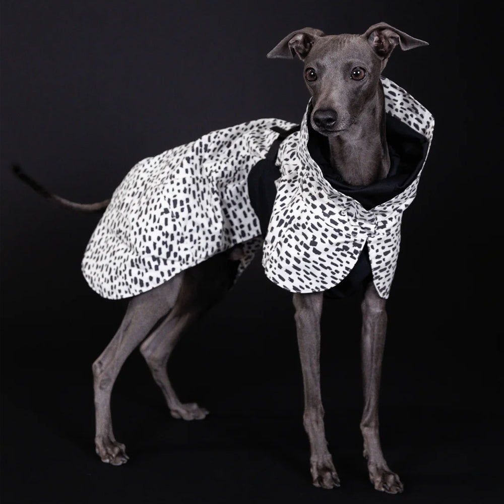 PAIKKA High Visibility Dog Raincoat 2.0 - Polka Dot