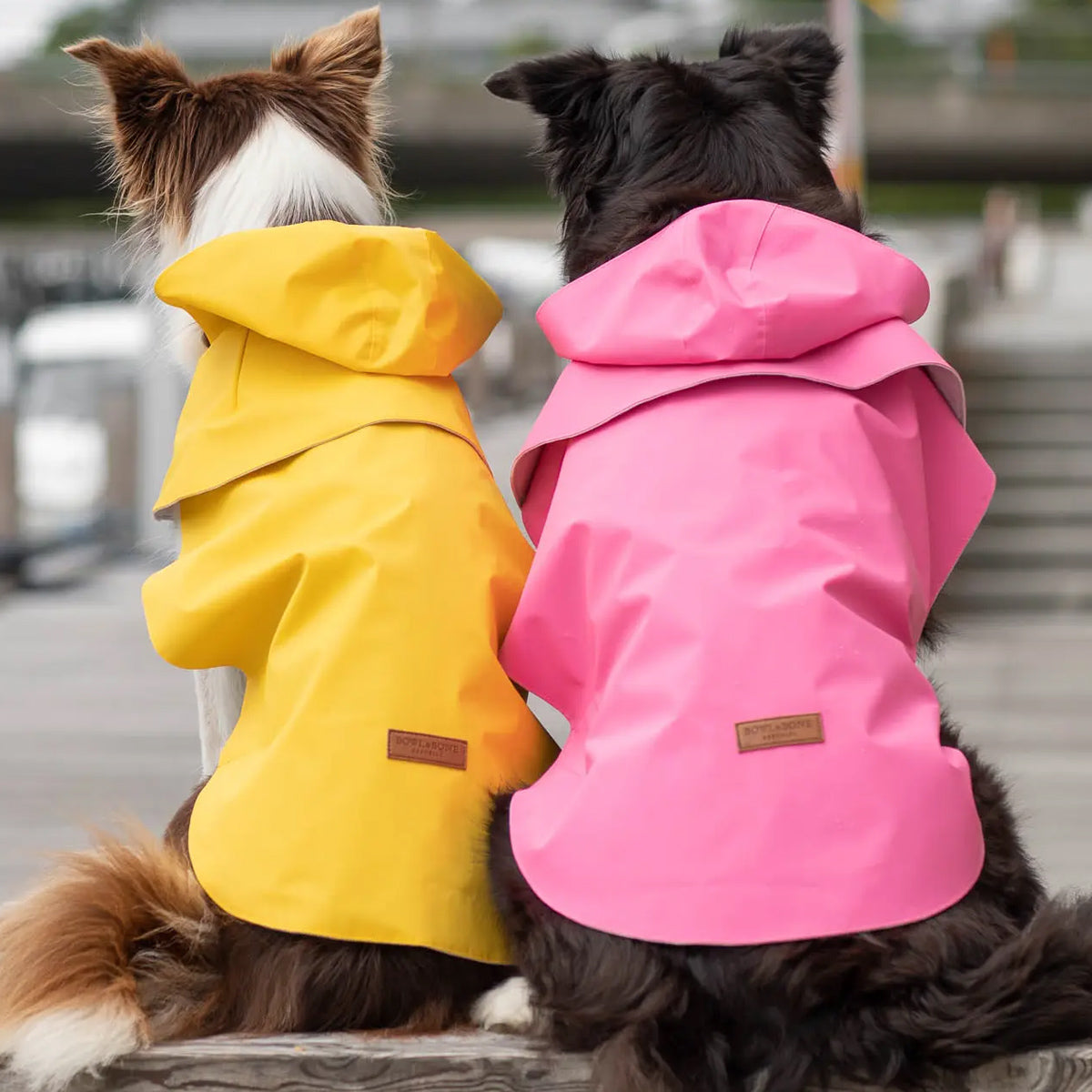 Bowl and Bone Storm Hoodie Raincoat - Pink