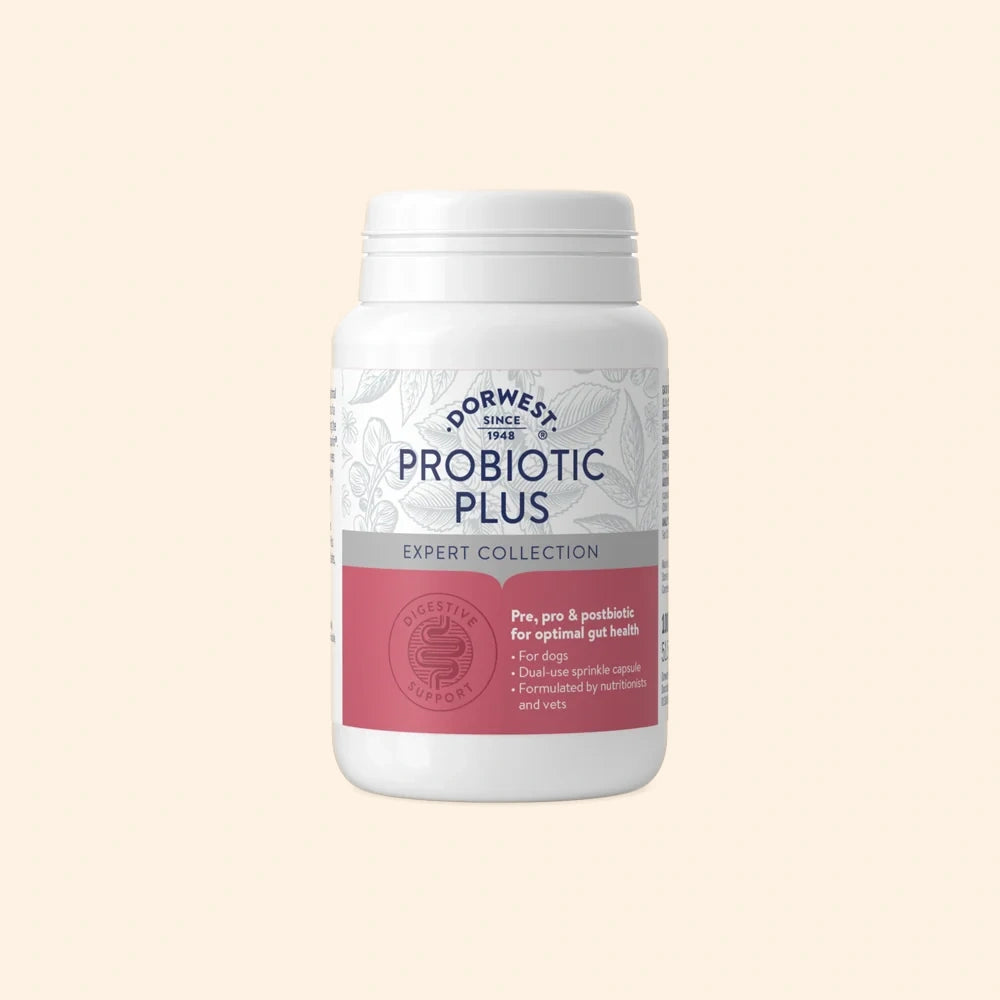 Dorwest Probiotic Plus for Dogs