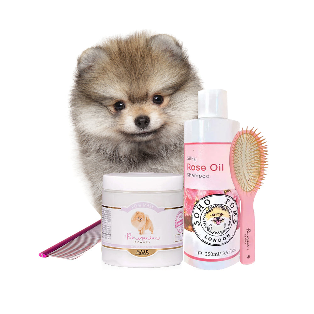 First Bath Puppy Kit