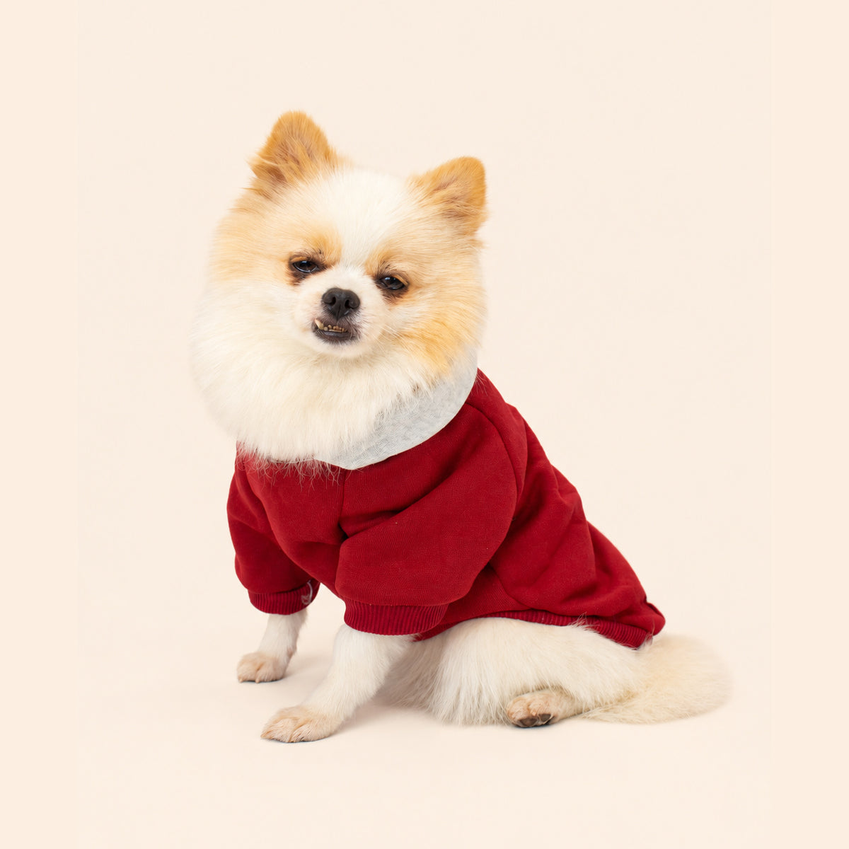 Fire Red | Dog Hoodie