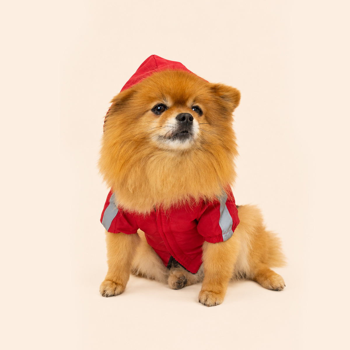 Fire Red | Padded Waterproof Jacket