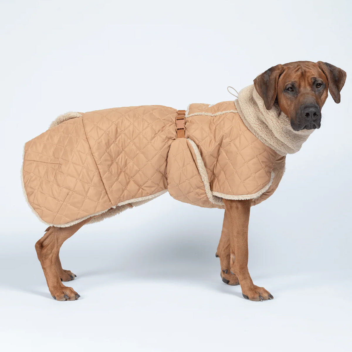 PAIKKA Reflektierender & Wasserdichter Hunderegenmantel Lite in Pink