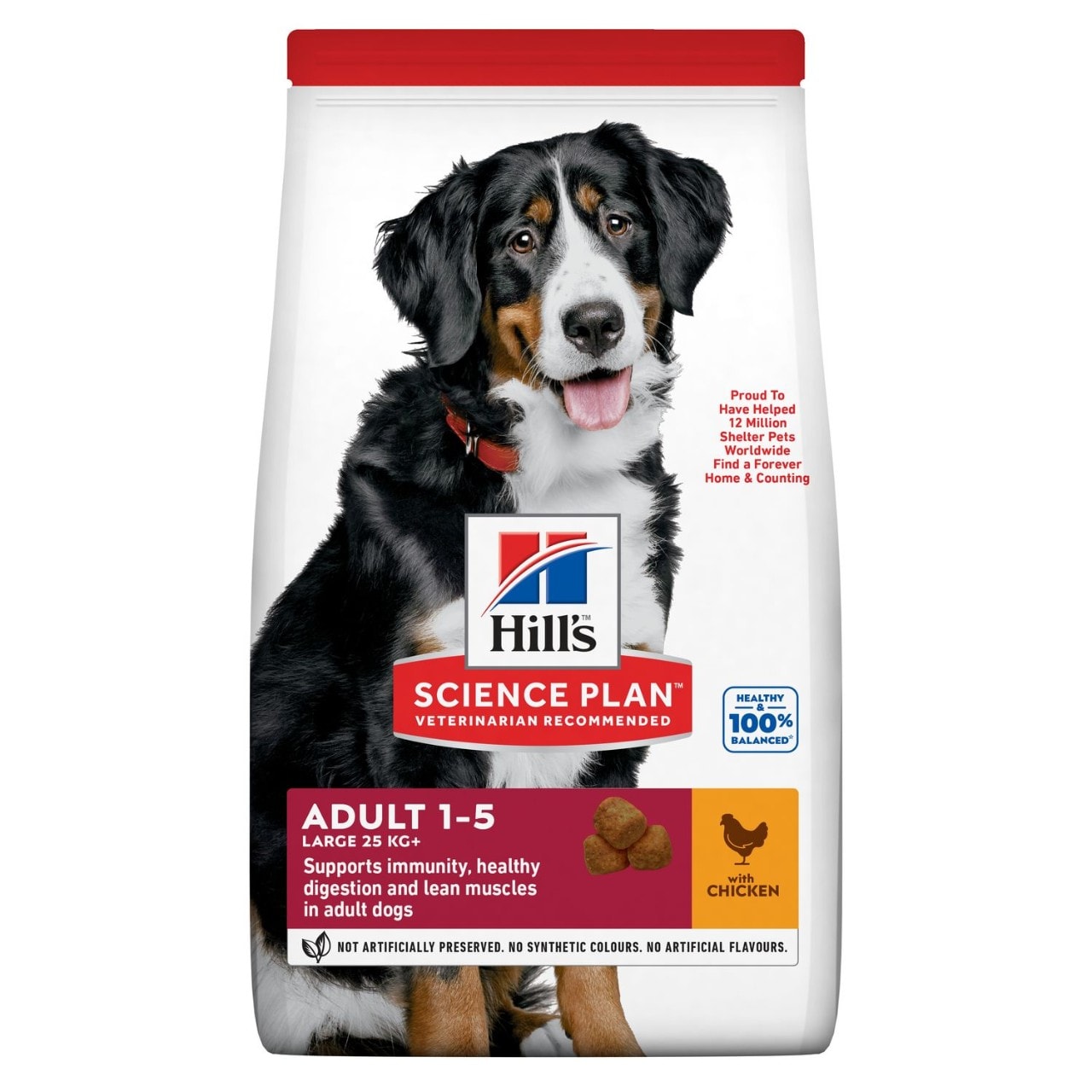 Hills Science Plan Adult Large Breed Dry Dog Food with Chicken