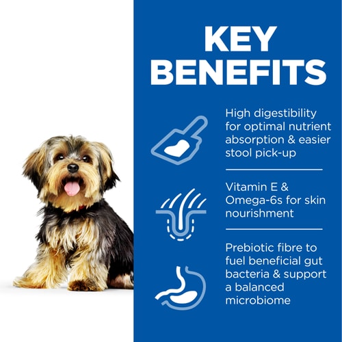 Hills Science Plan Sensitive Stomach & Skin Adult Small & Mini Breed Dry Dog Food Chicken