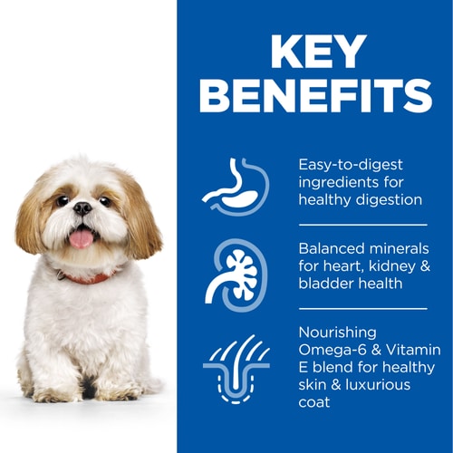 Hills Science Plan Mature Adult Small & Mini Breed Dry Dog Food with Chicken