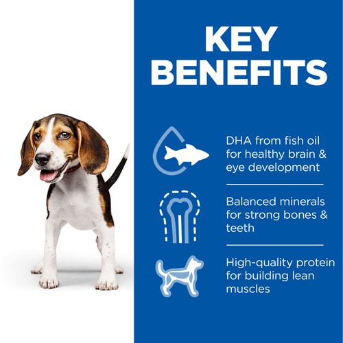 Hills Science Plan Puppy Wet Dog Food with Chicken