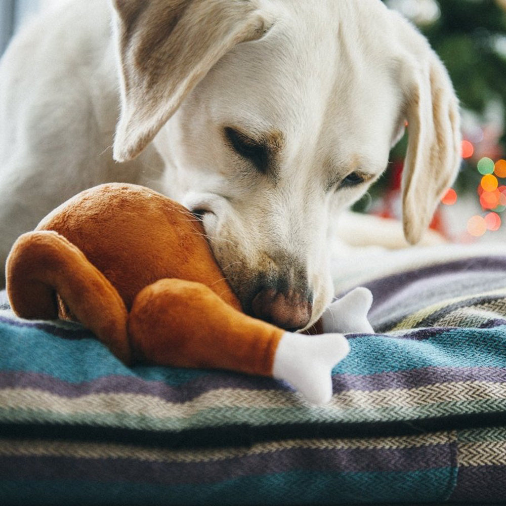 P.L.A.Y. Christmas Roast Turkey Plush Dog Toy