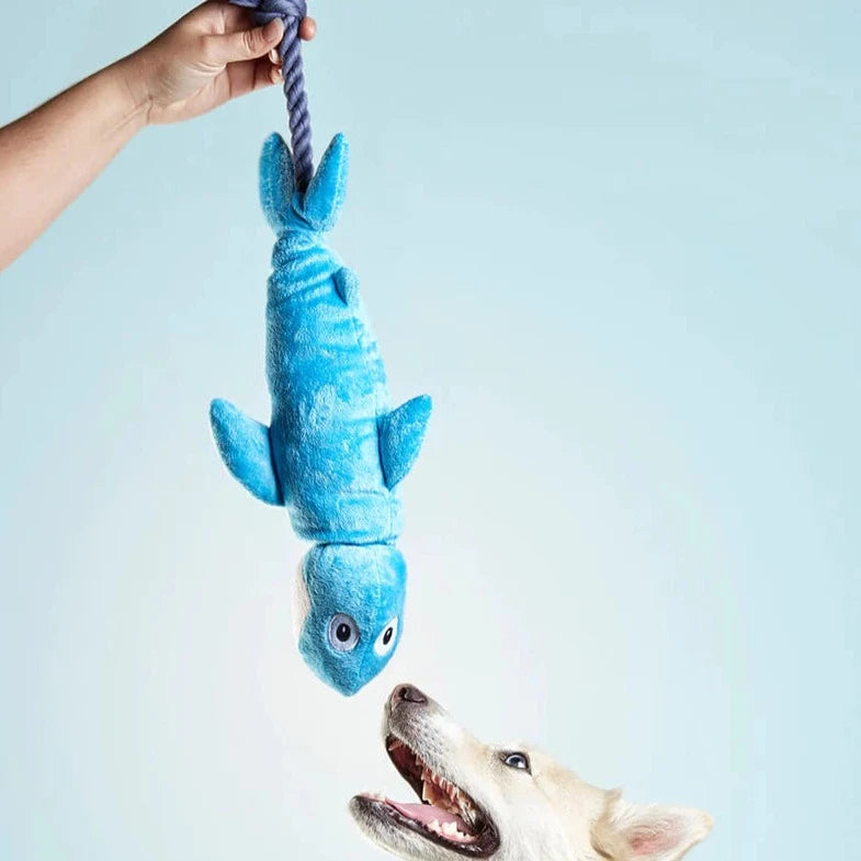 Clint the shark Gloria Dog toy