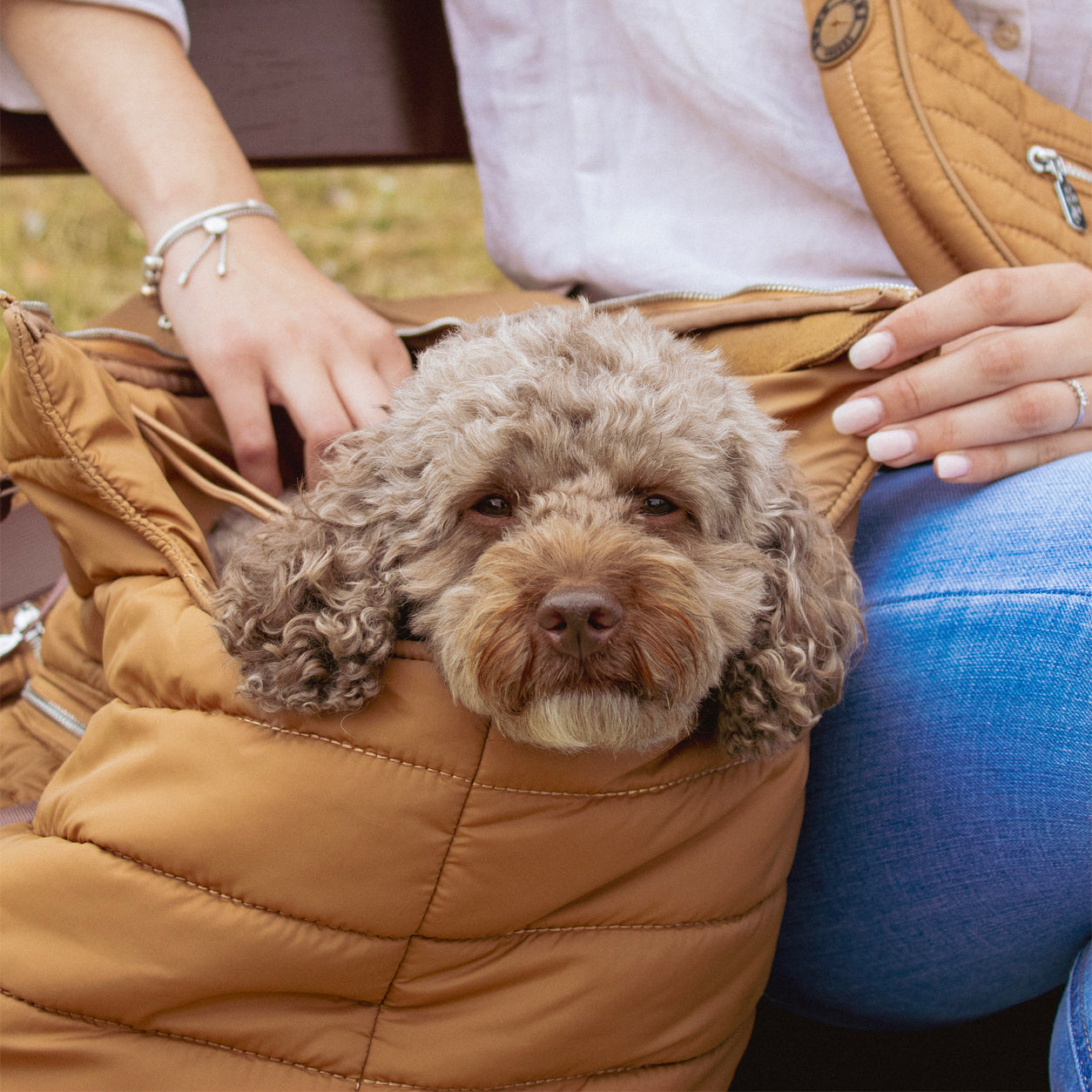 Porte-chien Suzy's Fashion Rainy Bear noir et rose