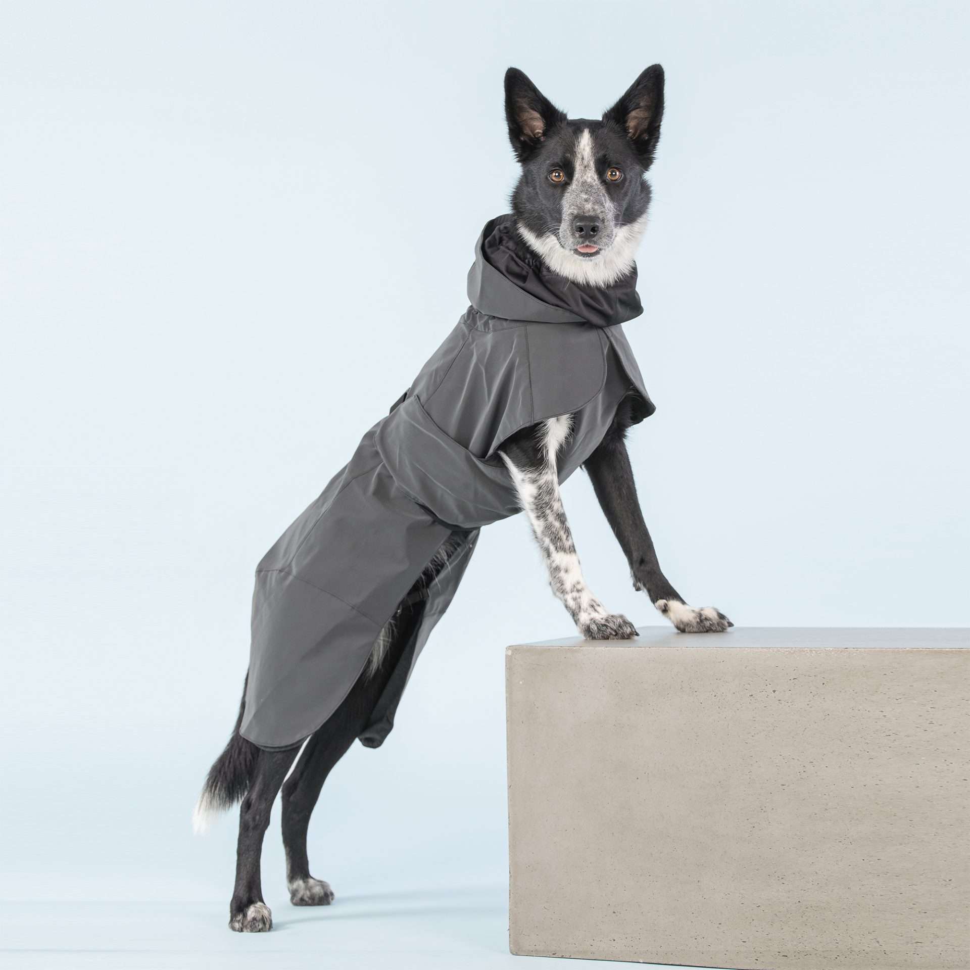 PAIKKA Manteau imperméable haute visibilité pour chien - Foncé