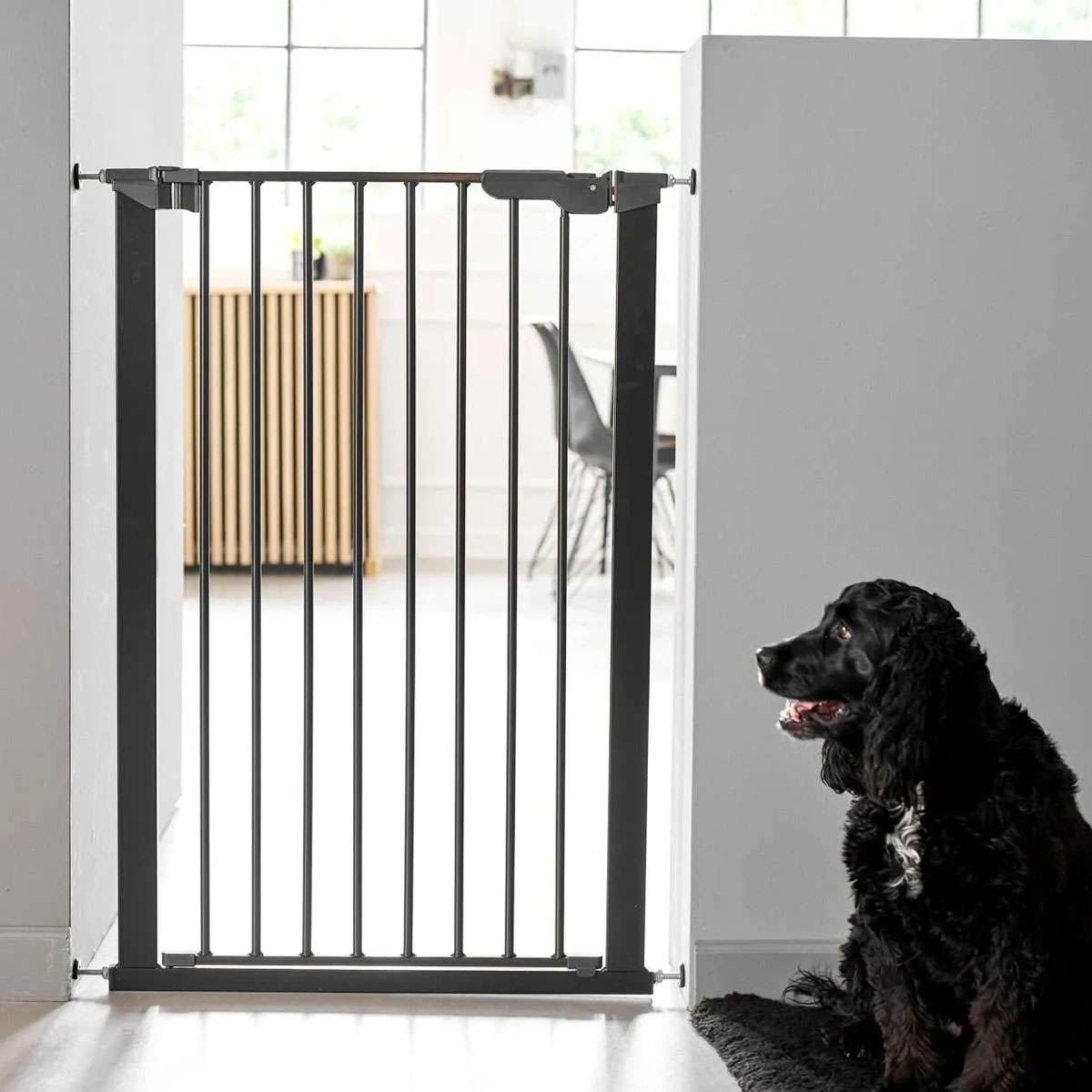 DogSpace Bonnie Extra Tall Pressure Fit Dog Gate - Black