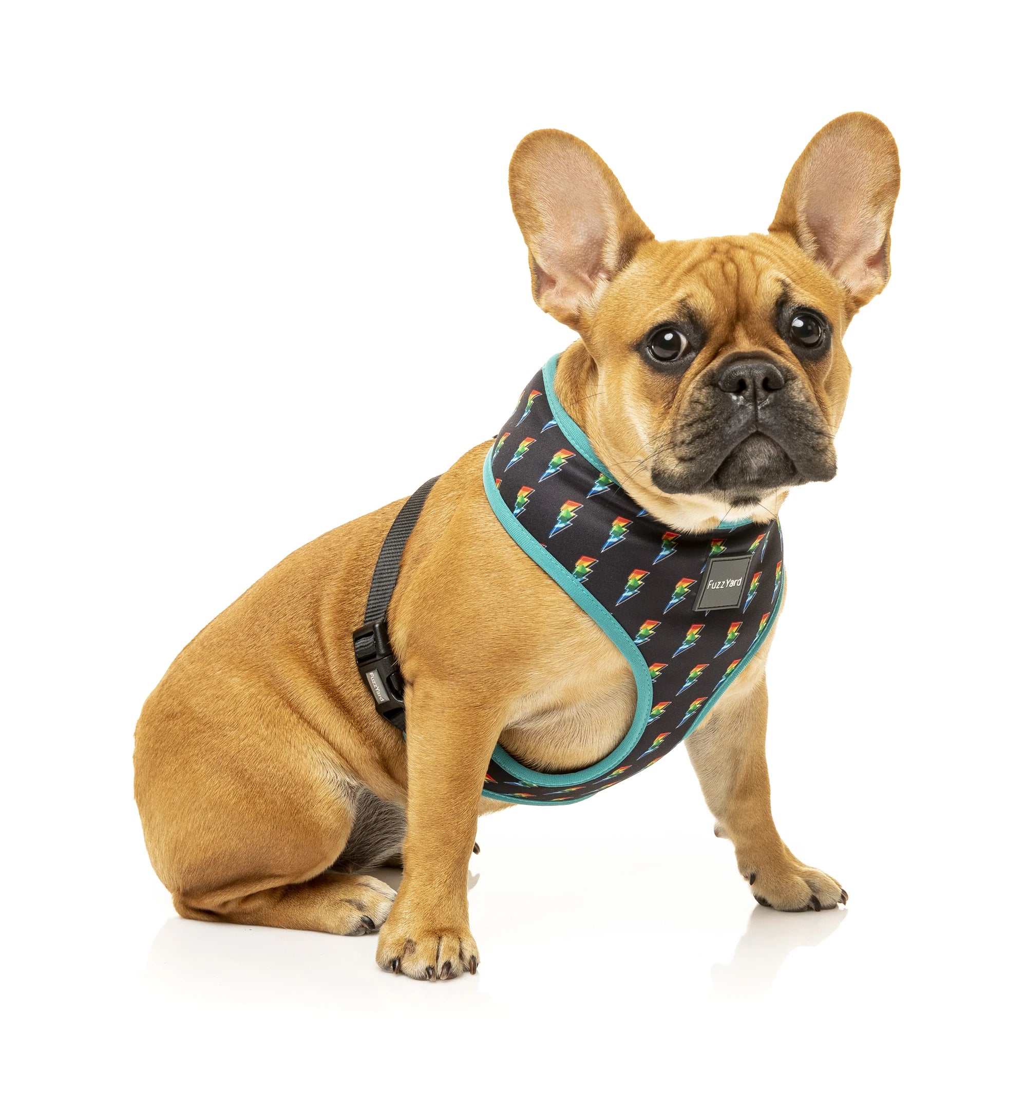 Dog sales harness fuzzyard