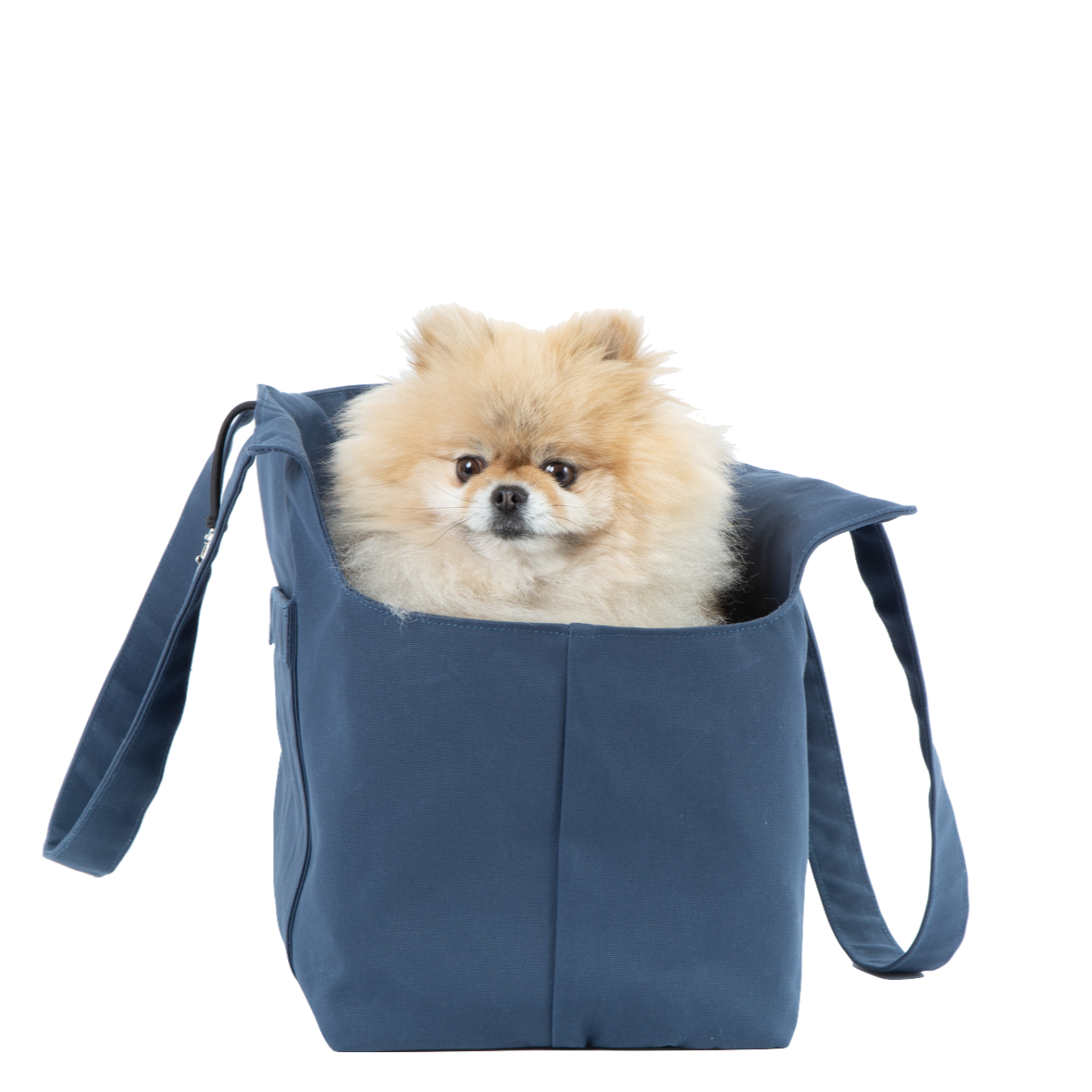Dog Carriers Luxury Dog Bags At Soho Poms dog-carriers-luxury-dog-bags-at-soho-poms