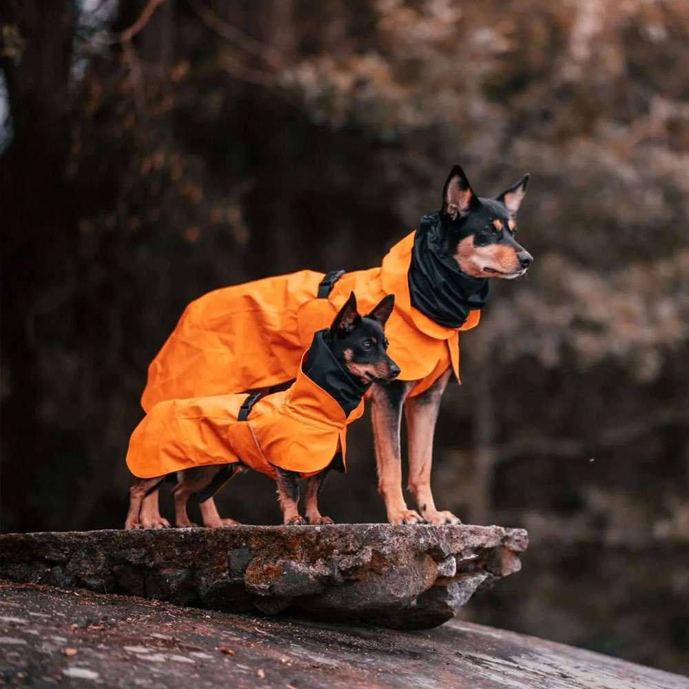 PAIKKA Manteau de récupération pour chien - Orange
