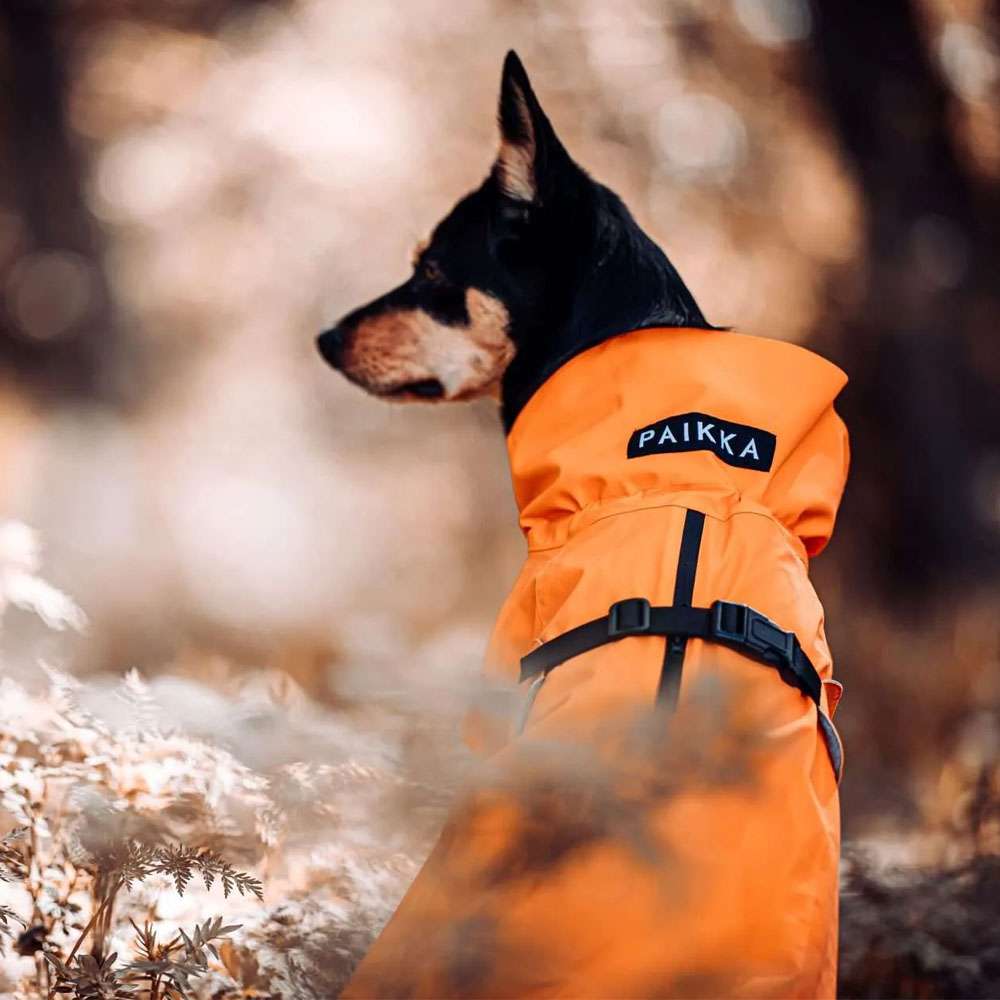 PAIKKA Manteau de récupération pour chien - Orange