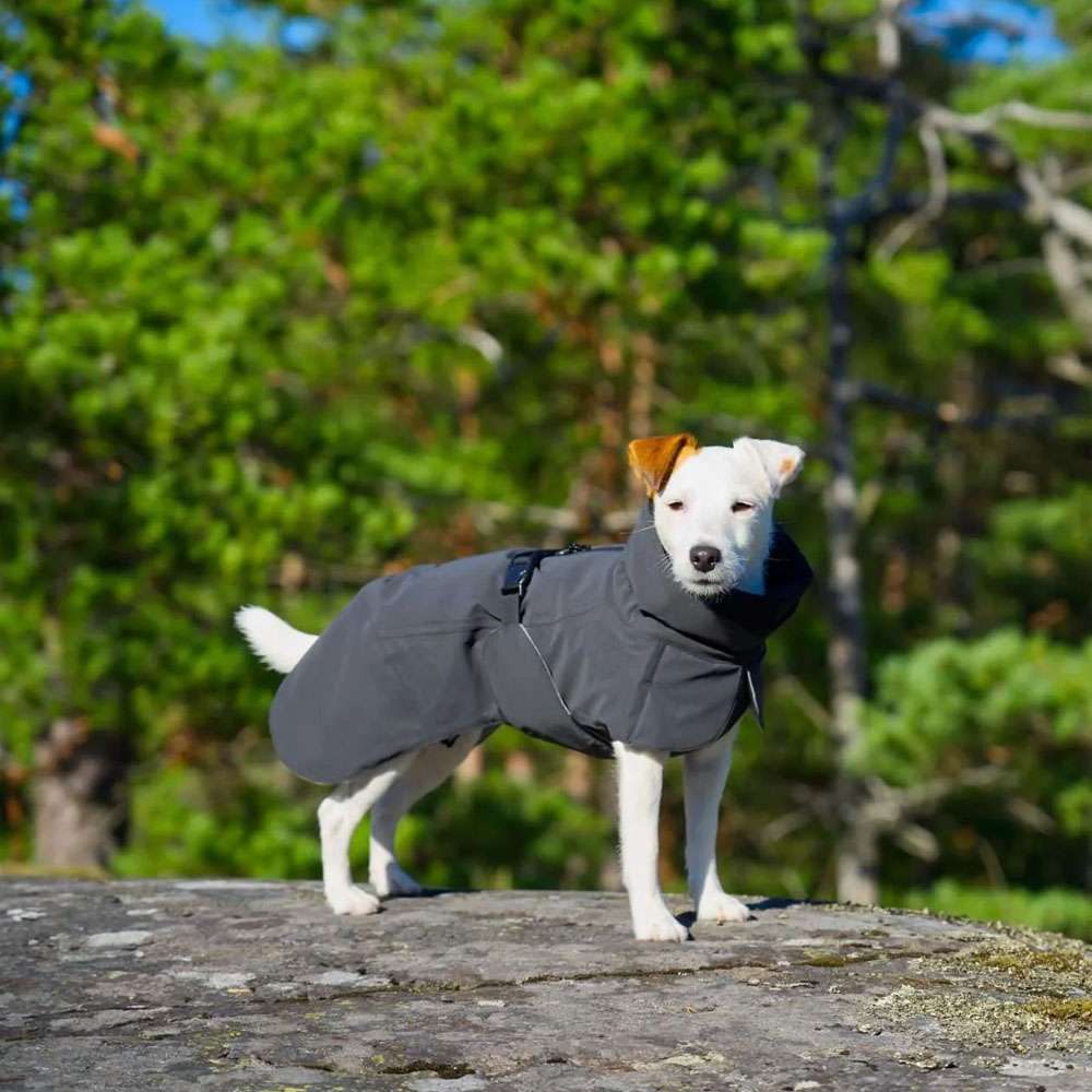 PAIKKA High Visibility Dog Raincoat - Dark