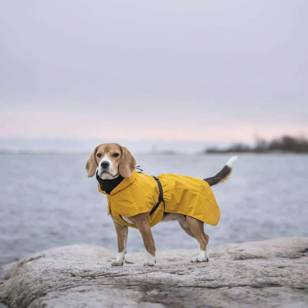 PAIKKA Manteau imperméable haute visibilité pour chien Lite - Jaune