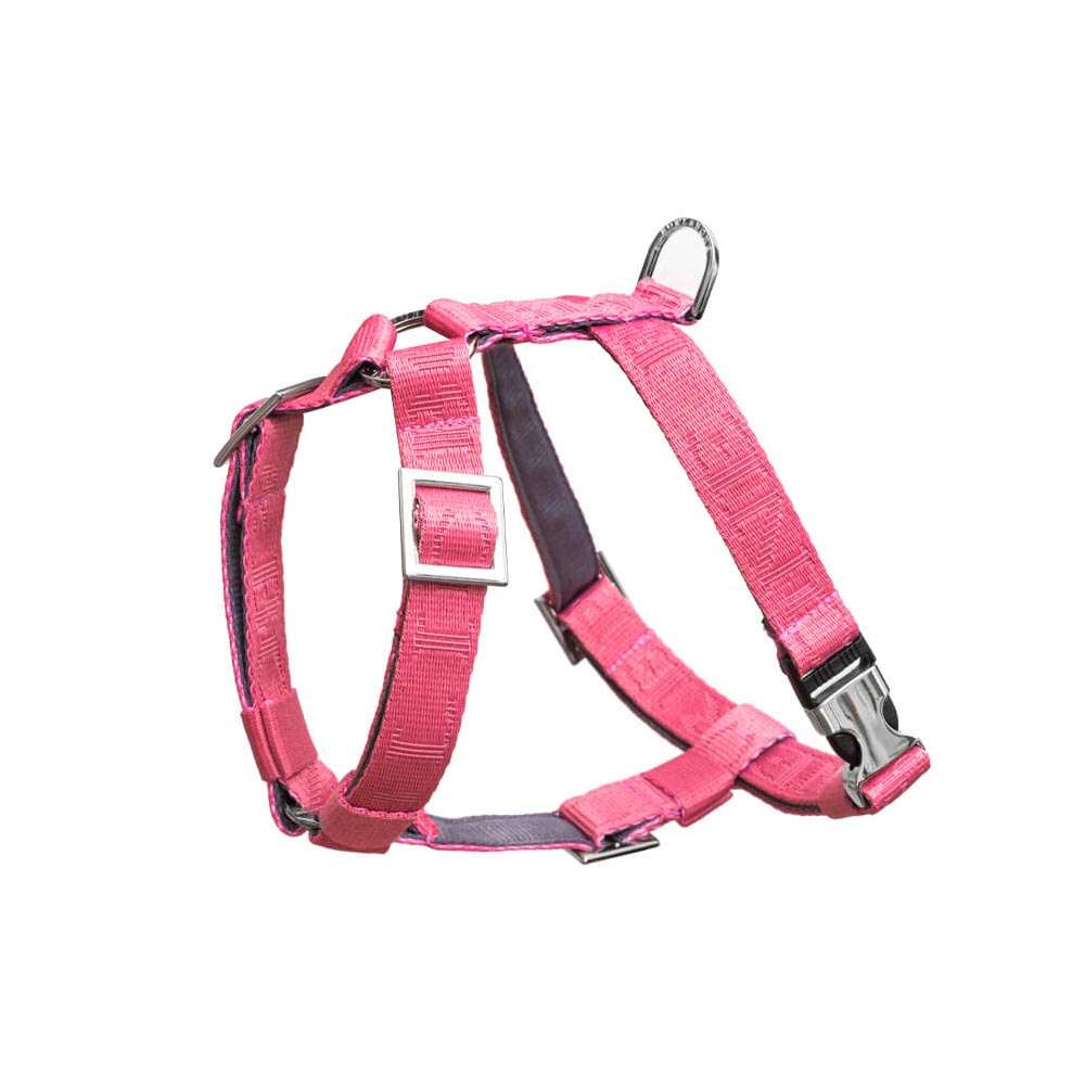 Pink BLOOM Dog Harness from Bowl & Bone